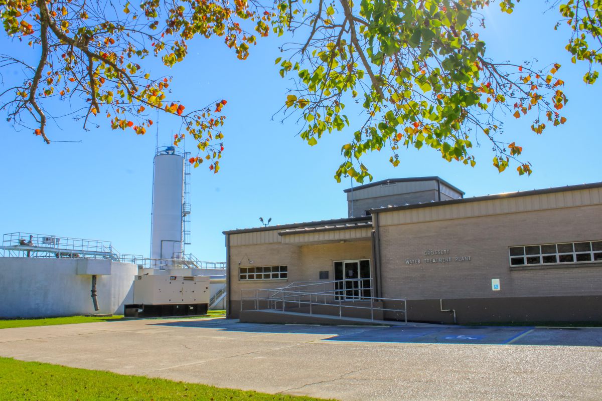WATER PLANT